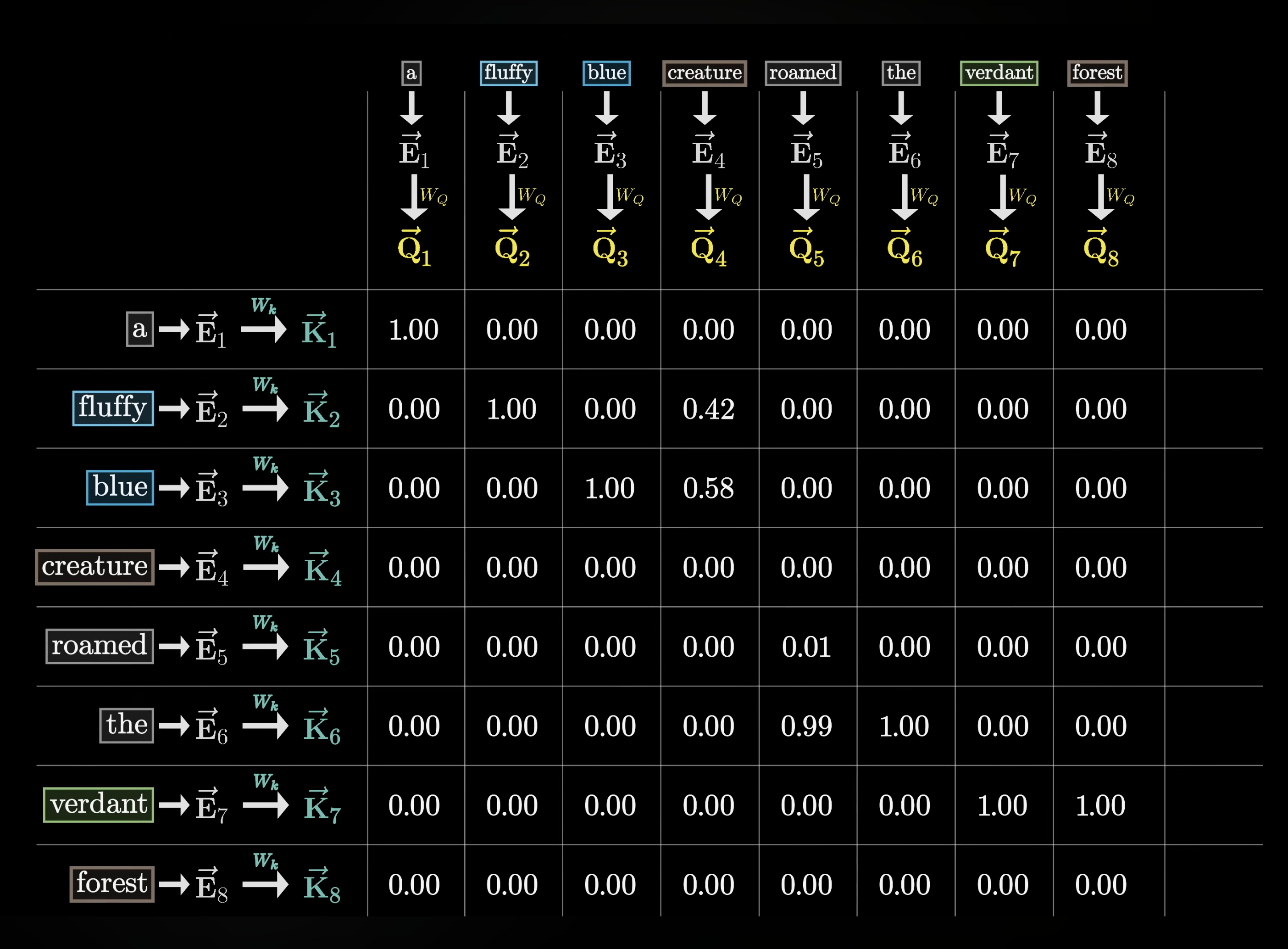 normalized attention weights